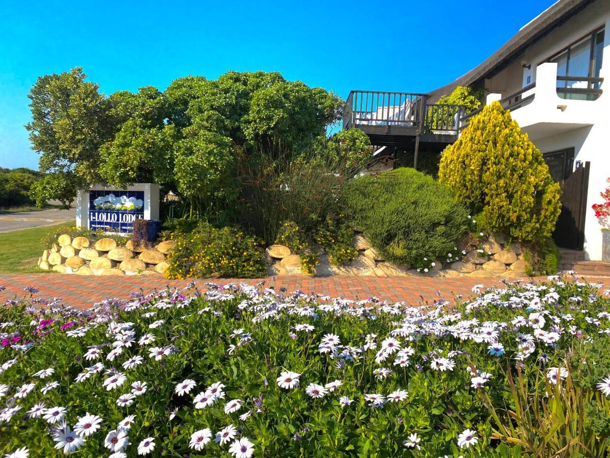 I-Lollo Bed & Breakfast At The River Mouth Bed & Breakfast St Francis Bay Exterior photo